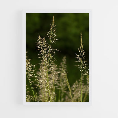 ap-grass-9 cadre Blanc