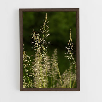ap-grass-9 cadre Bois foncé