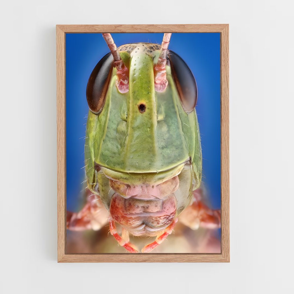 ap-grasshopper-7 cadre Bois clair