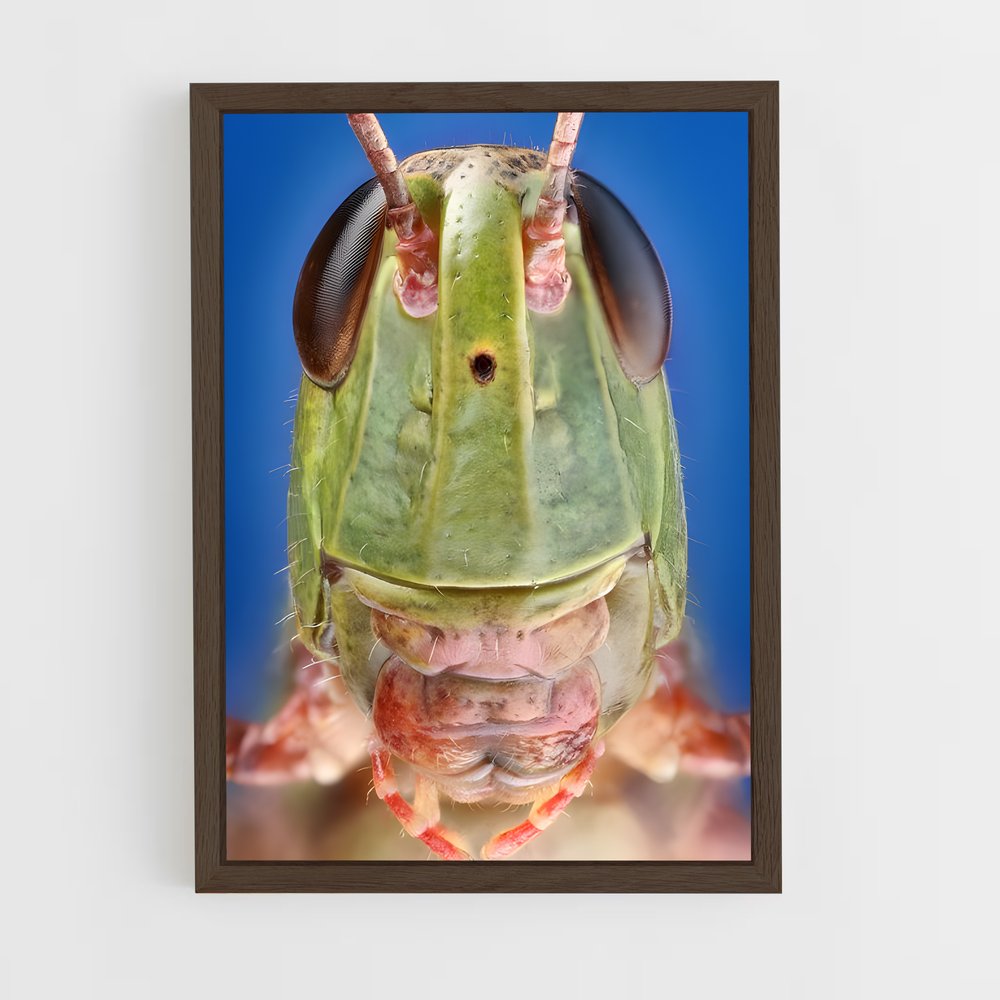 ap-grasshopper-7 cadre Bois foncé