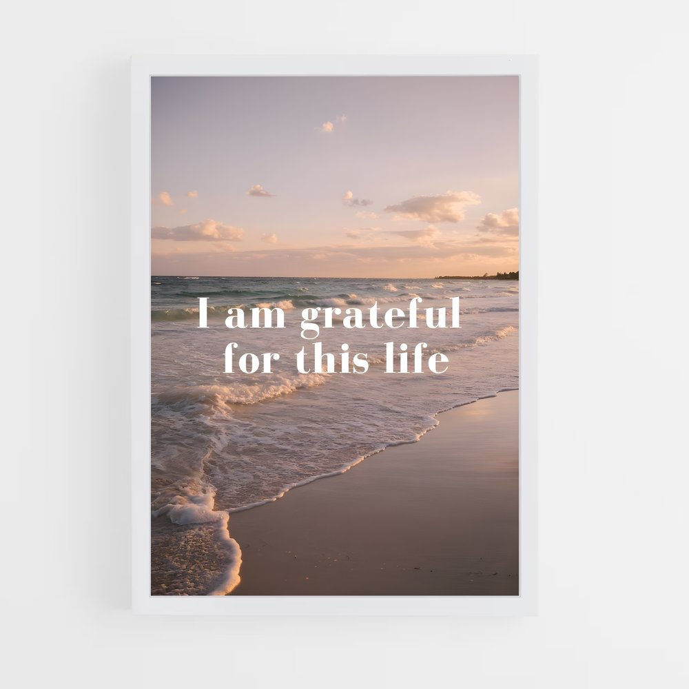 ap-grateful-3 cadre Blanc