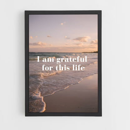 ap-grateful-3 cadre Noir