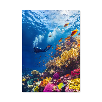 Poster Plongée Exotique