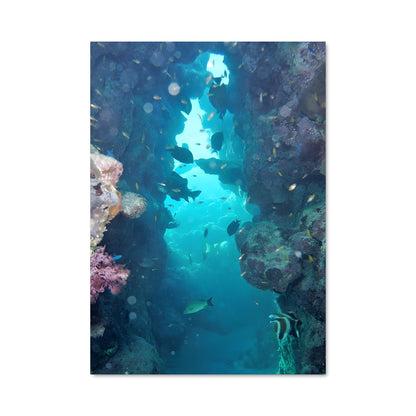 Poster Great barrier reef 67961