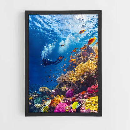 ap-great barrier reef-2 cadre Noir