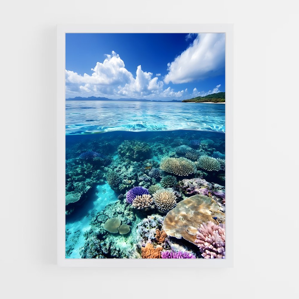 ap-great barrier reef-23 cadre Blanc