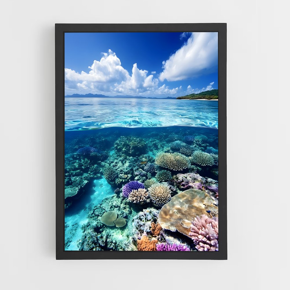 ap-great barrier reef-23 cadre Noir