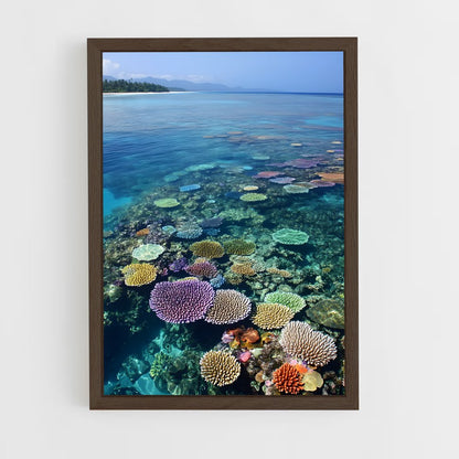 ap-great barrier reef-4 cadre Bois foncé