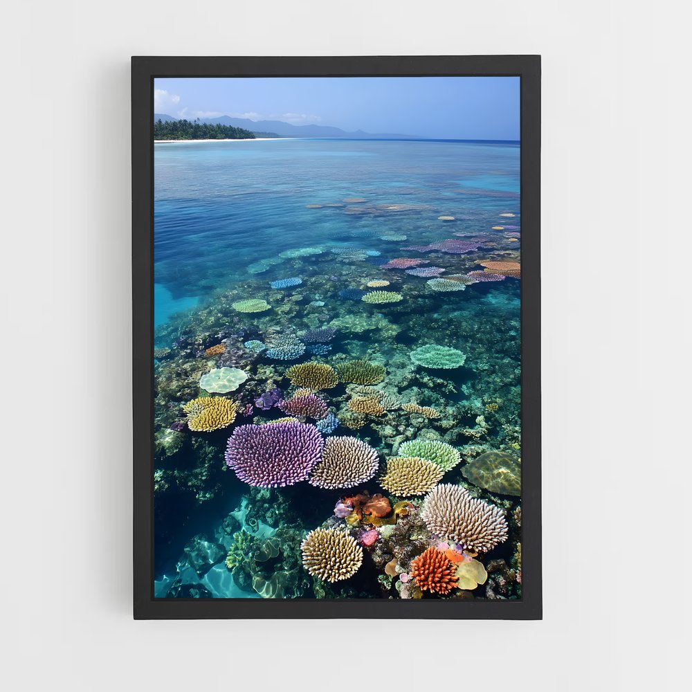 ap-great barrier reef-4 cadre Noir