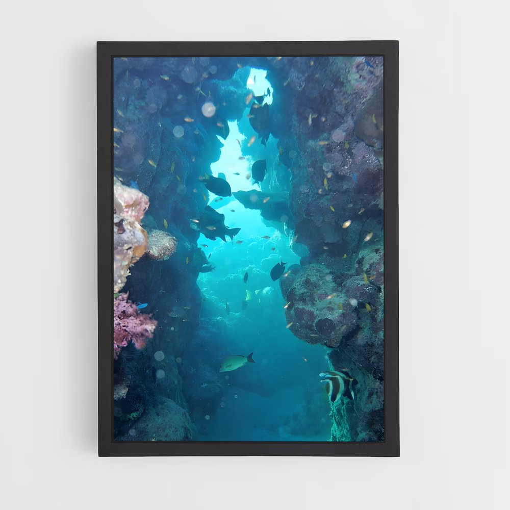 ap-great barrier reef-6 cadre Noir