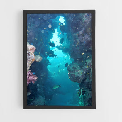 ap-great barrier reef-6 cadre Noir