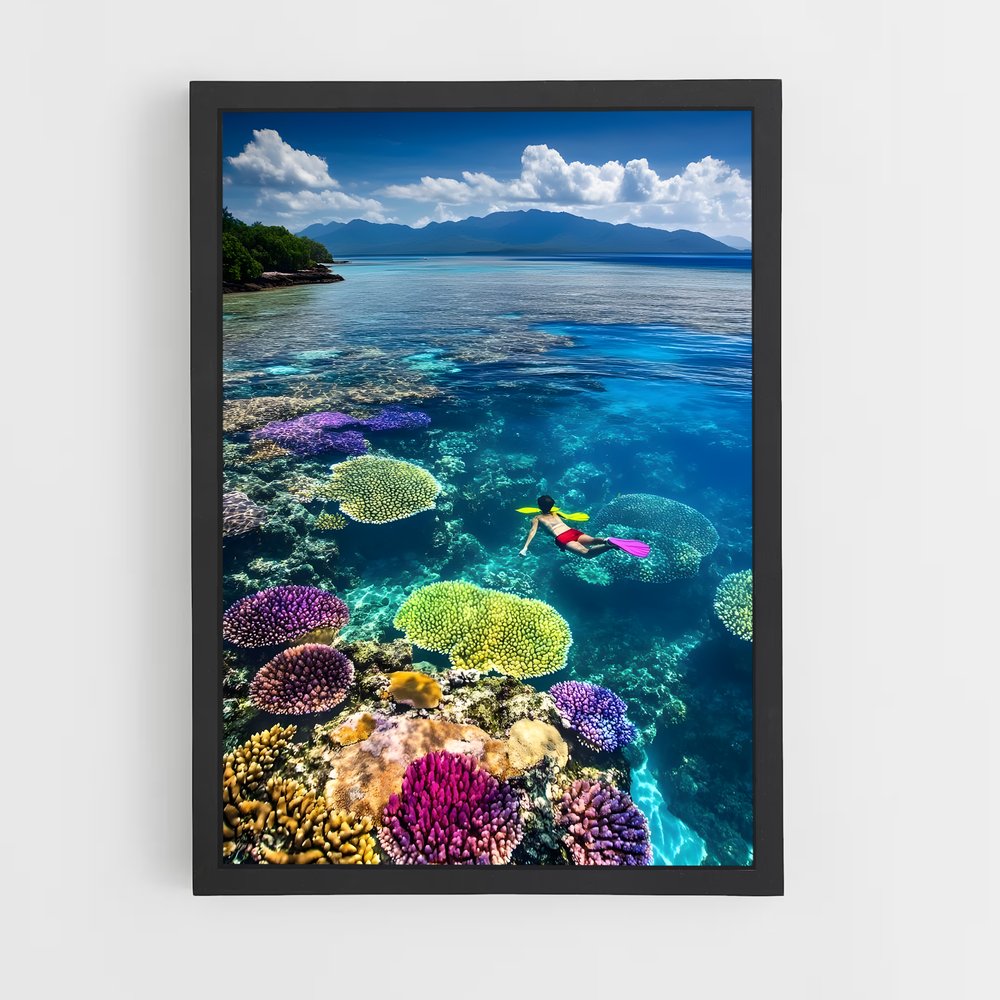 ap-great barrier reef-7 cadre Noir