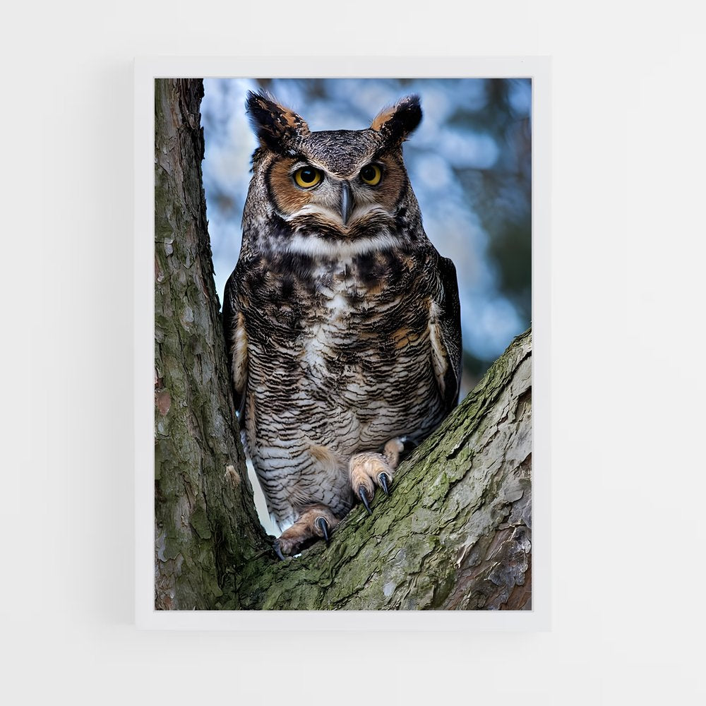 ap-great horned owl-1 cadre Blanc