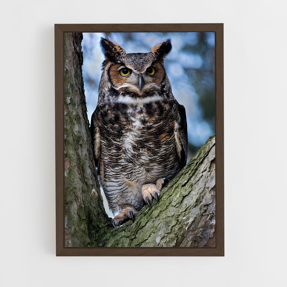 ap-great horned owl-1 cadre Bois foncé