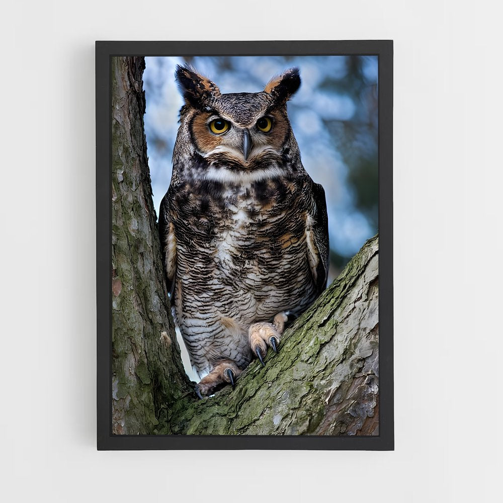 ap-great horned owl-1 cadre Noir