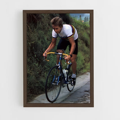 ap-greg lemond-2 cadre Bois foncé