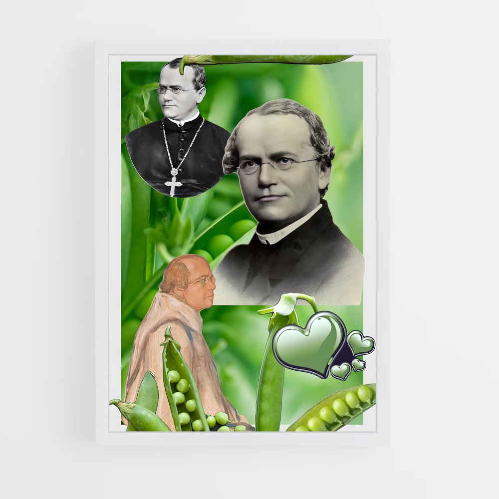 ap-gregor mendel-1 cadre Blanc