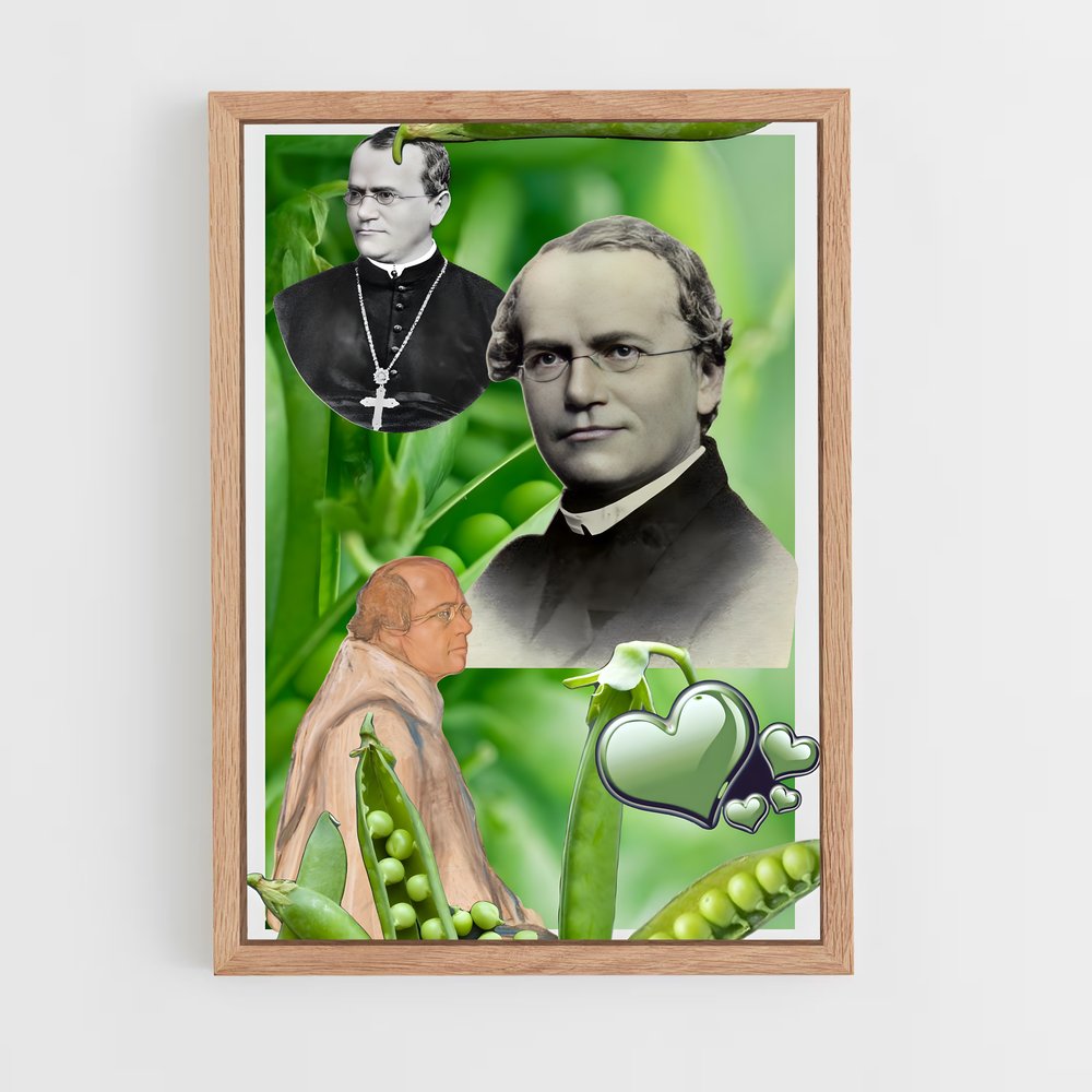 ap-gregor mendel-1 cadre Bois clair