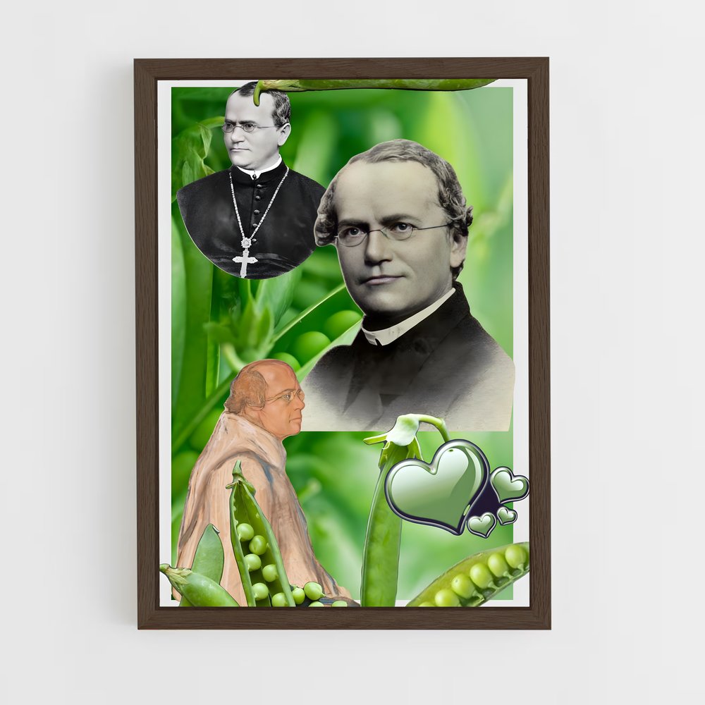 ap-gregor mendel-1 cadre Bois foncé