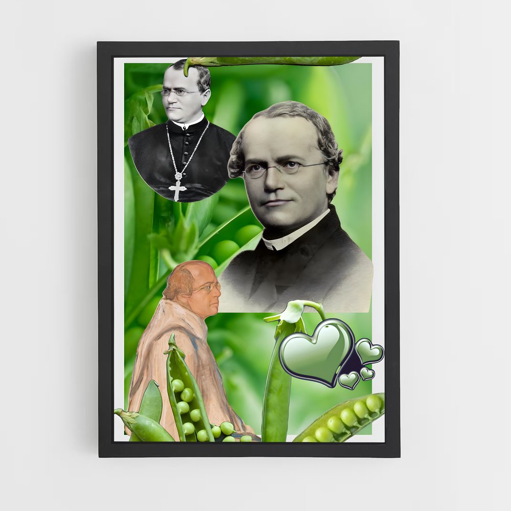 ap-gregor mendel-1 cadre Noir