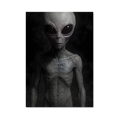 Poster L'Inconnu dans l'Obscurité