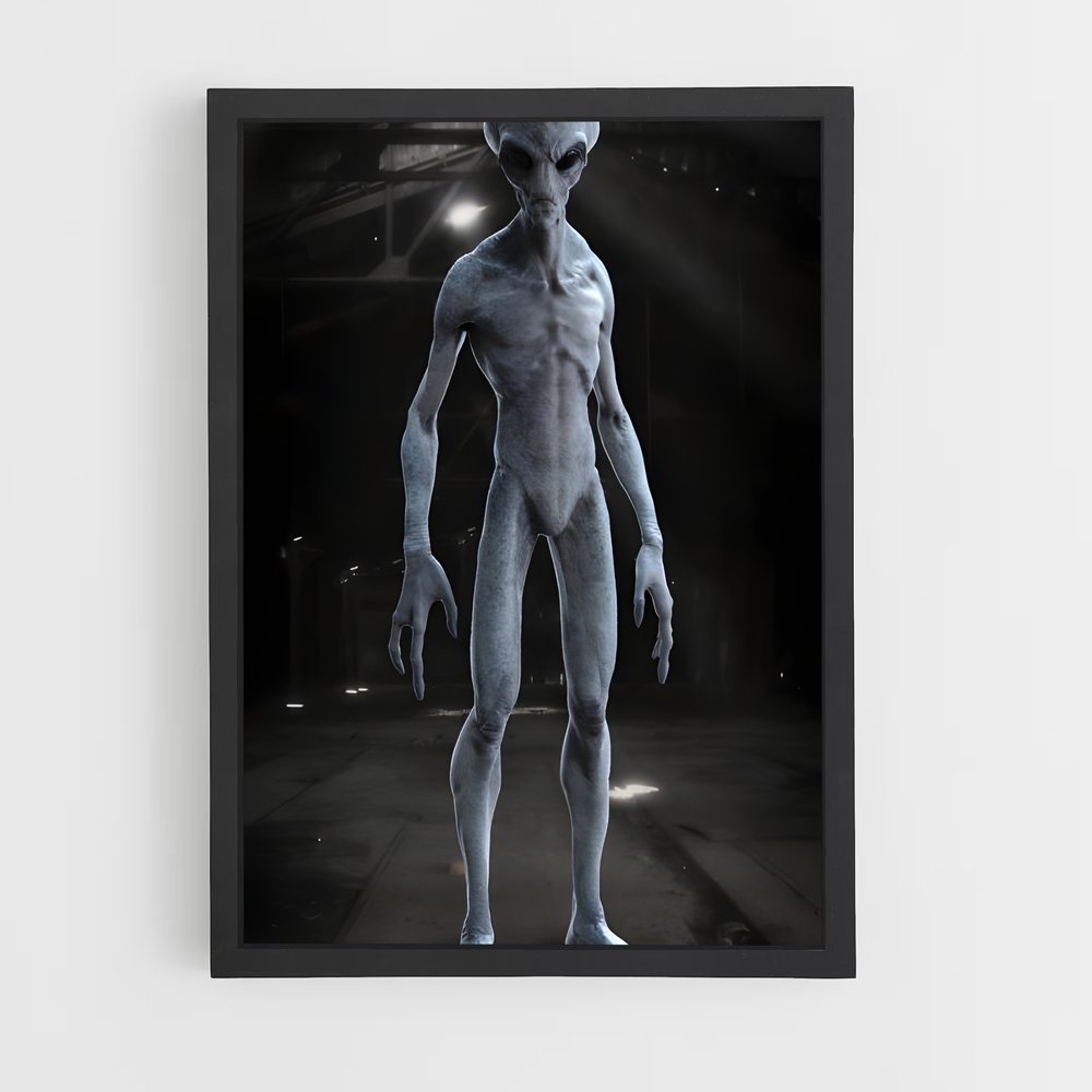 ap-grey alien-1 cadre Noir