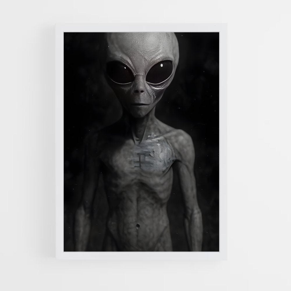 ap-grey alien-7 cadre Blanc