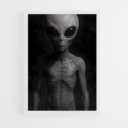 ap-grey alien-7 cadre Blanc