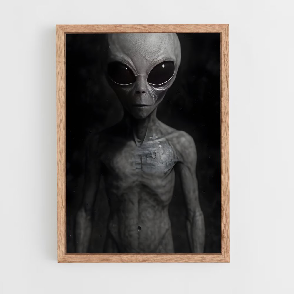ap-grey alien-7 cadre Bois clair