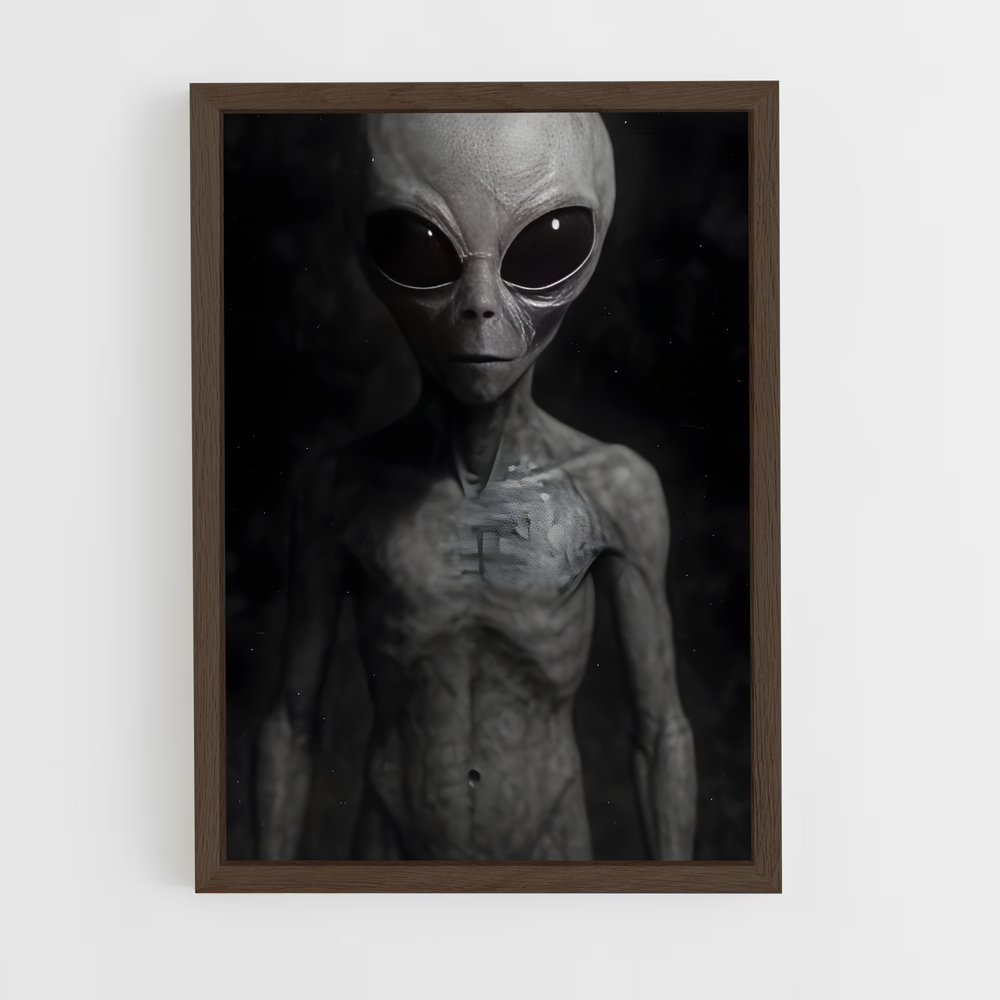 ap-grey alien-7 cadre Bois foncé