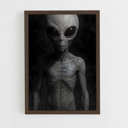 ap-grey alien-7 cadre Bois foncé