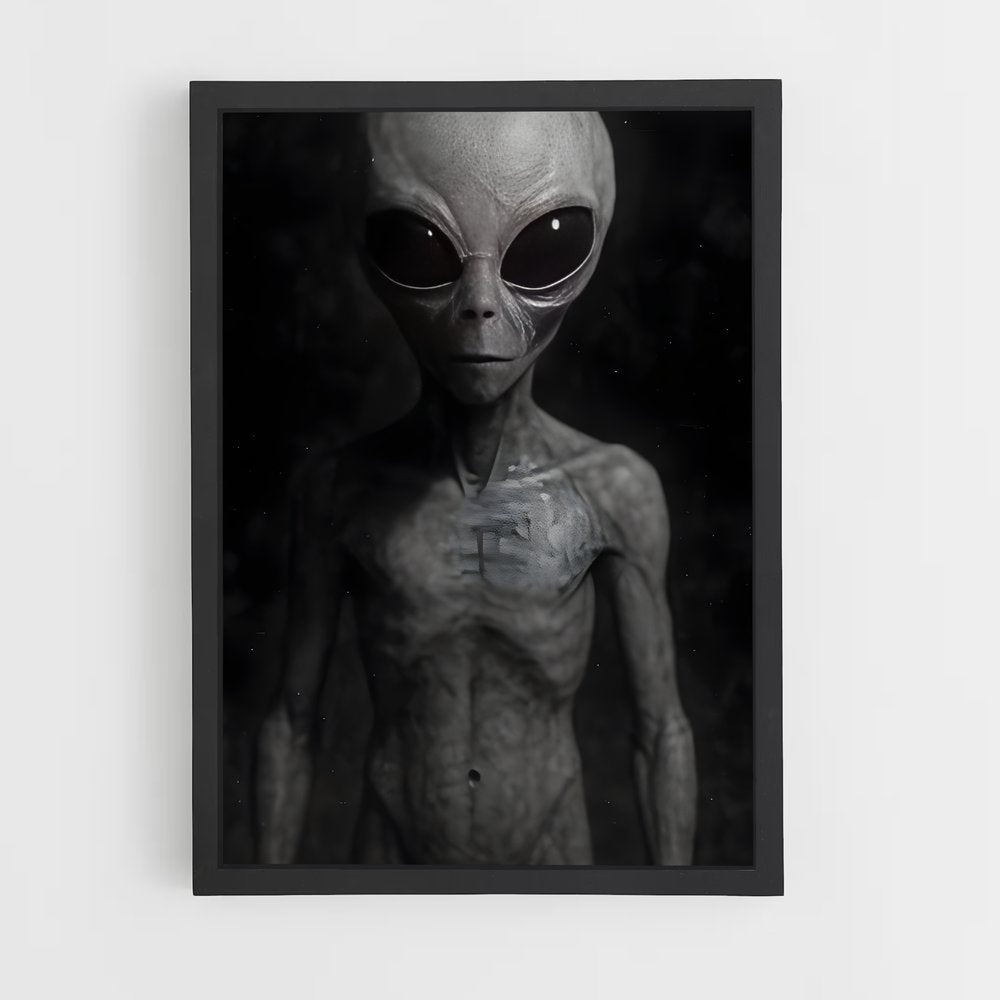 ap-grey alien-7 cadre Noir