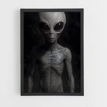 ap-grey alien-7 cadre Noir