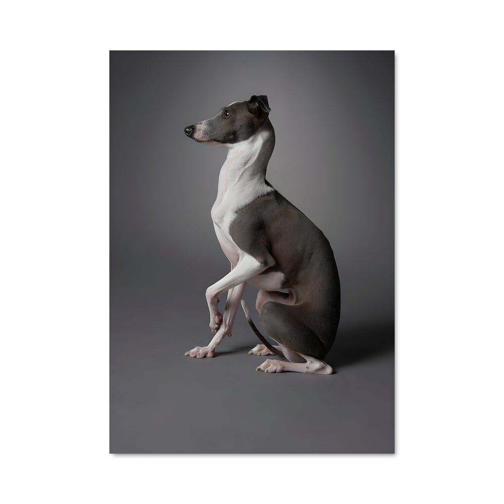 Poster Pause Canine