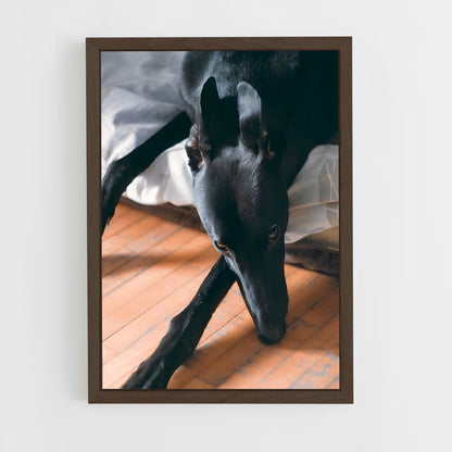 ap-greyhound-11 cadre Bois foncé
