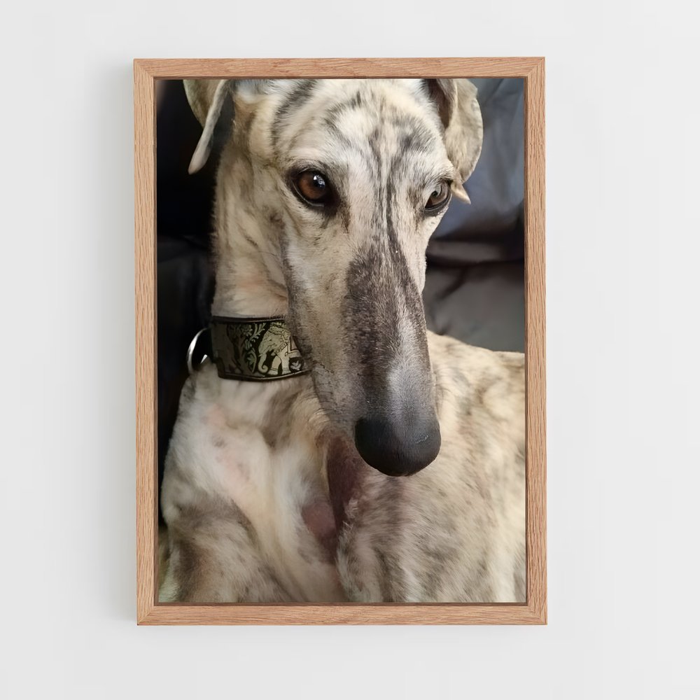 ap-greyhound-7 cadre Bois clair