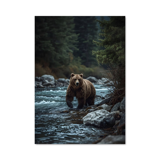 Poster Grizzly dans le Courant