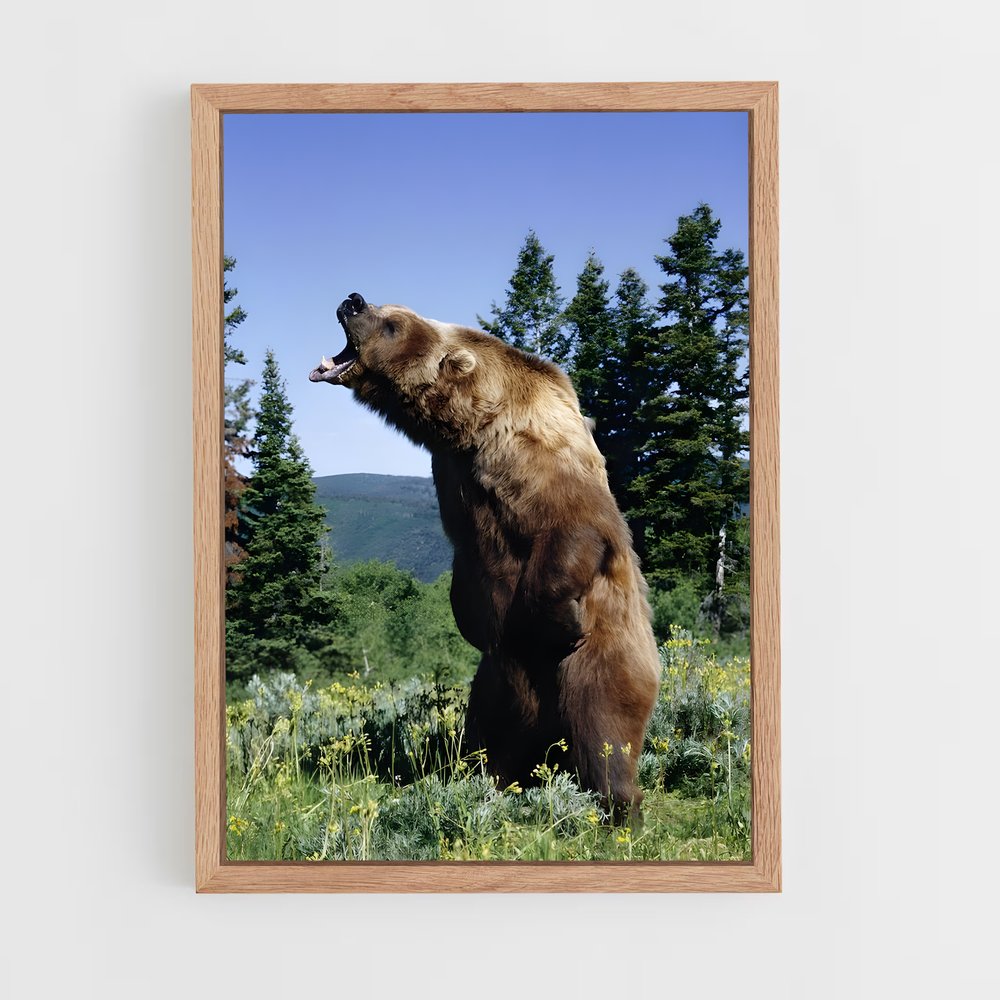 ap-grizzly bear-1 cadre Bois clair