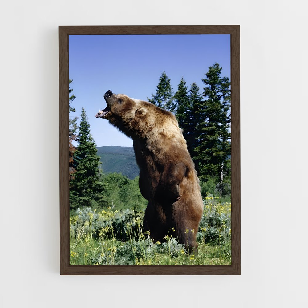 ap-grizzly bear-1 cadre Bois foncé