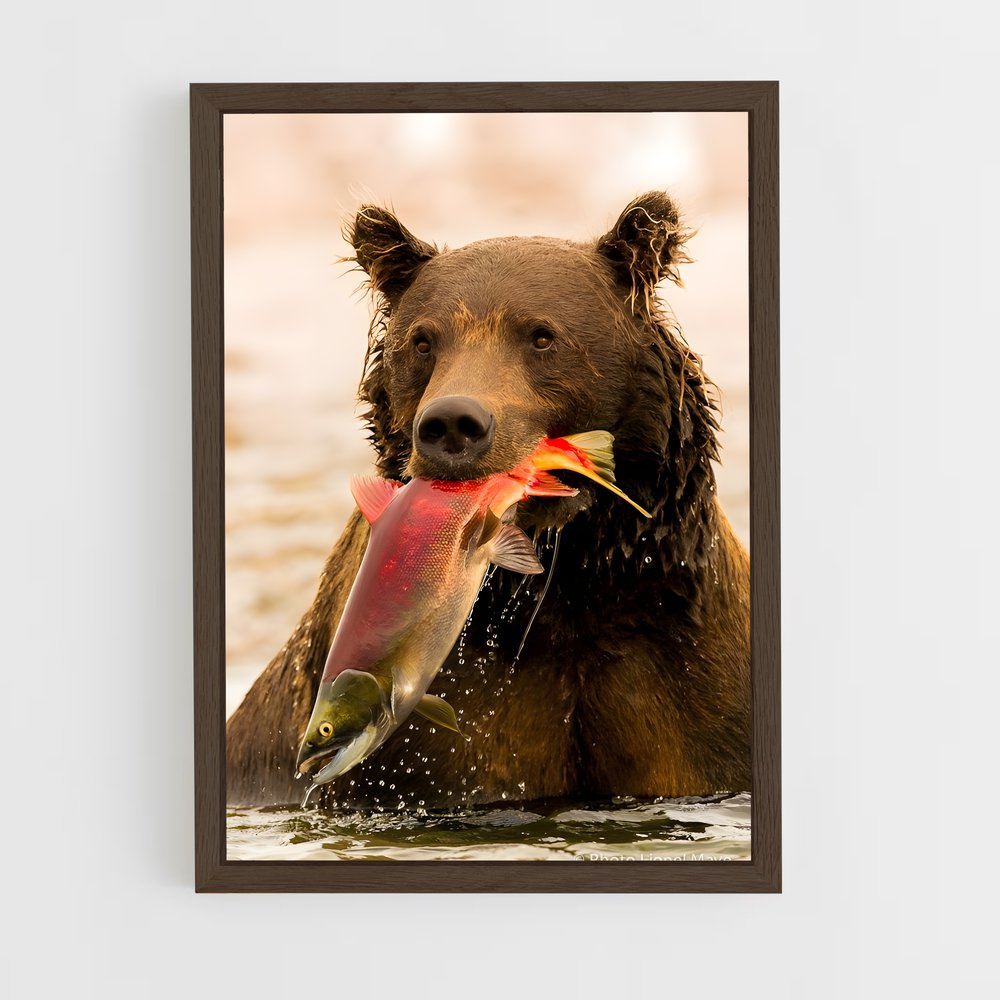 ap-grizzly bear-2 cadre Bois foncé