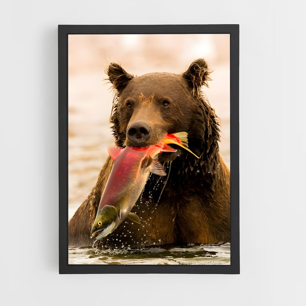 ap-grizzly bear-2 cadre Noir