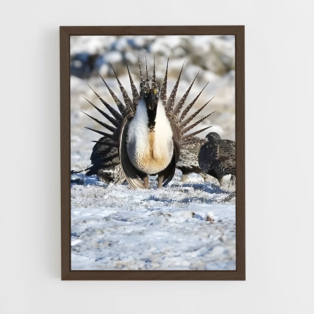 ap-grouse-2 cadre Bois foncé