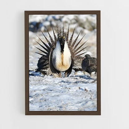 ap-grouse-2 cadre Bois foncé