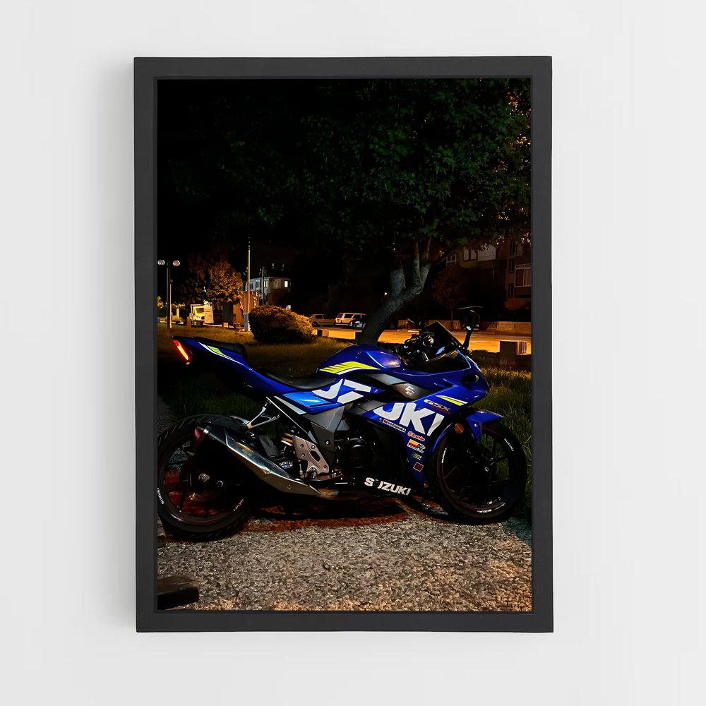 ap-gsx250r-5 cadre Noir
