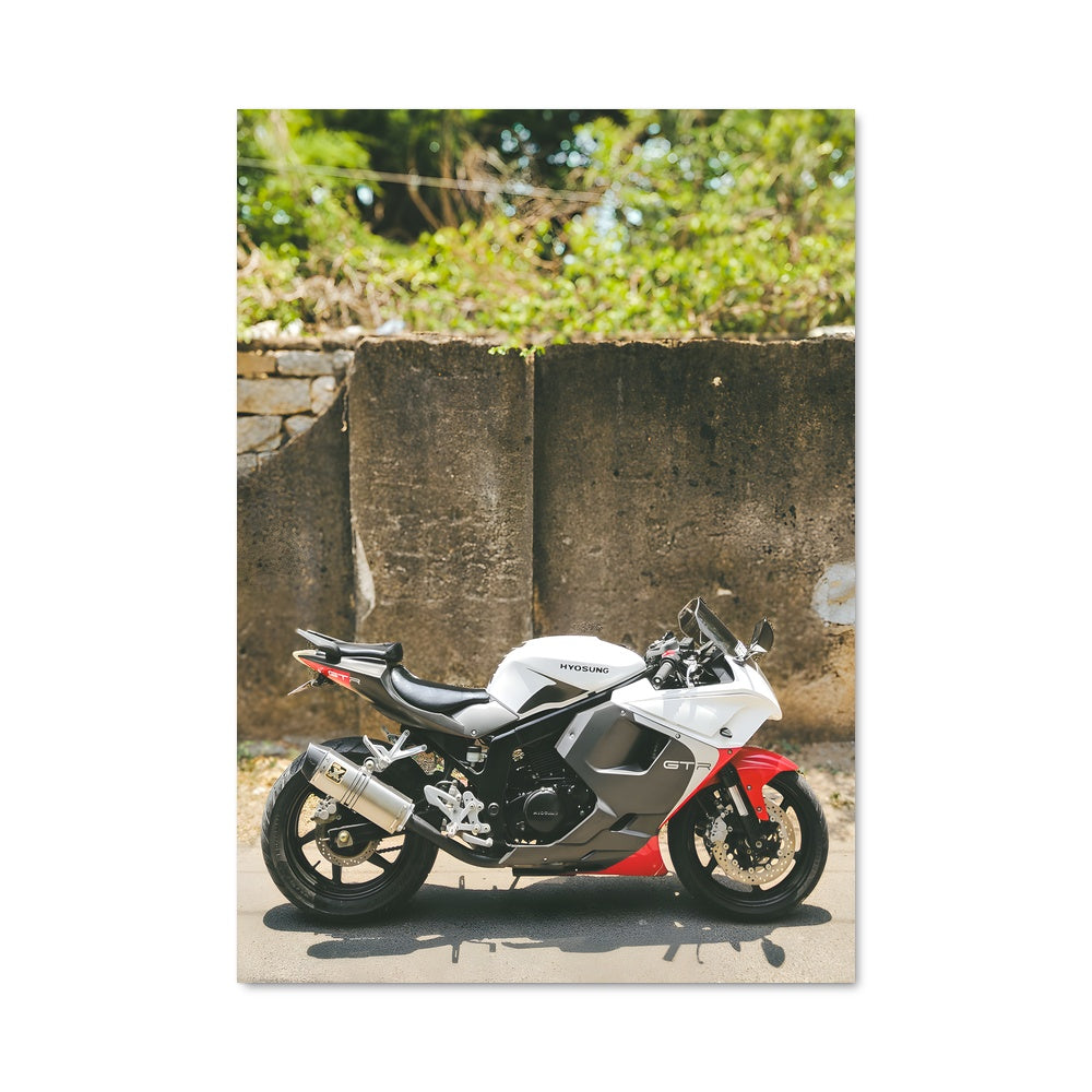 Poster Gt250r 82355