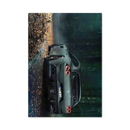 Poster Lumières dans les Bois