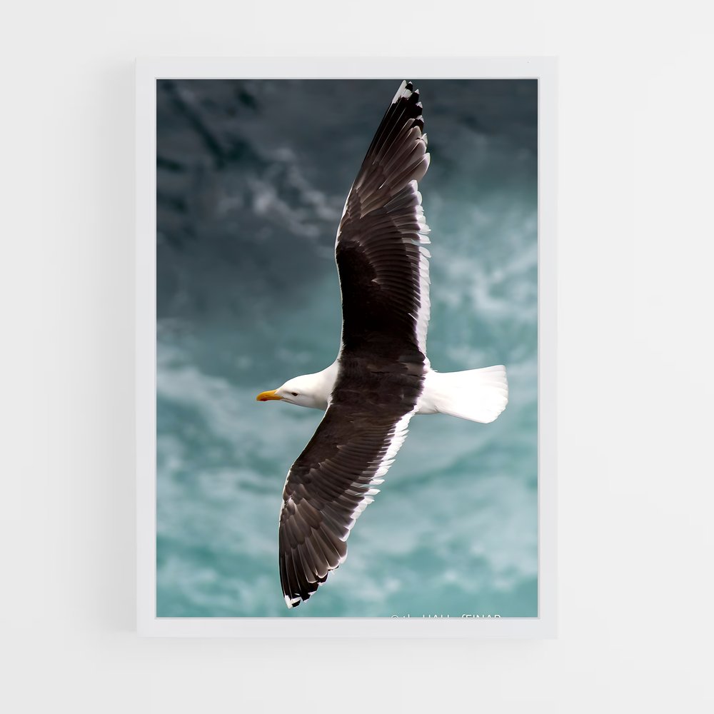 ap-gull-1 cadre Blanc