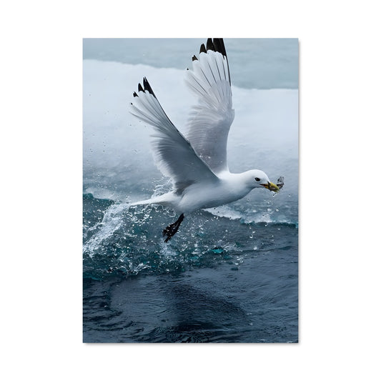 Poster Aigle Marin