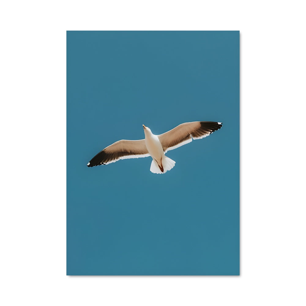 Poster Vol de Goéland