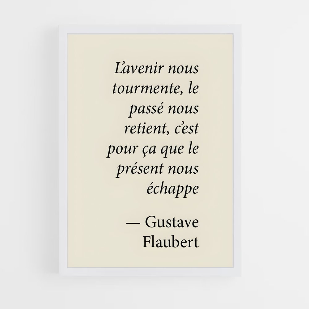 ap-gustave flaubert-1 cadre Blanc